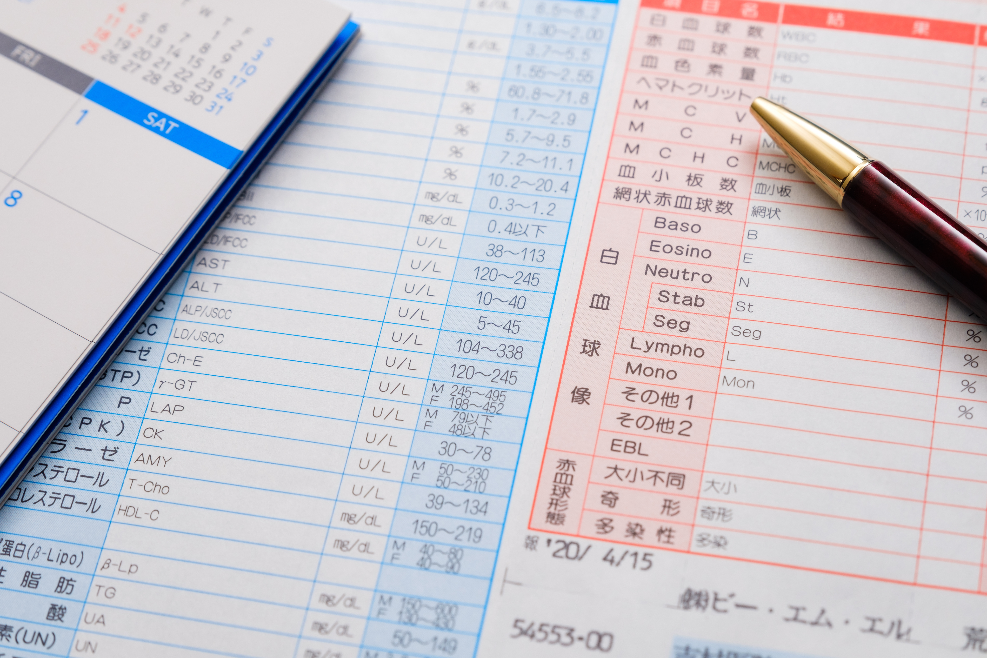 血液検査の様子